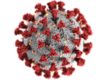 Virus COVID-19