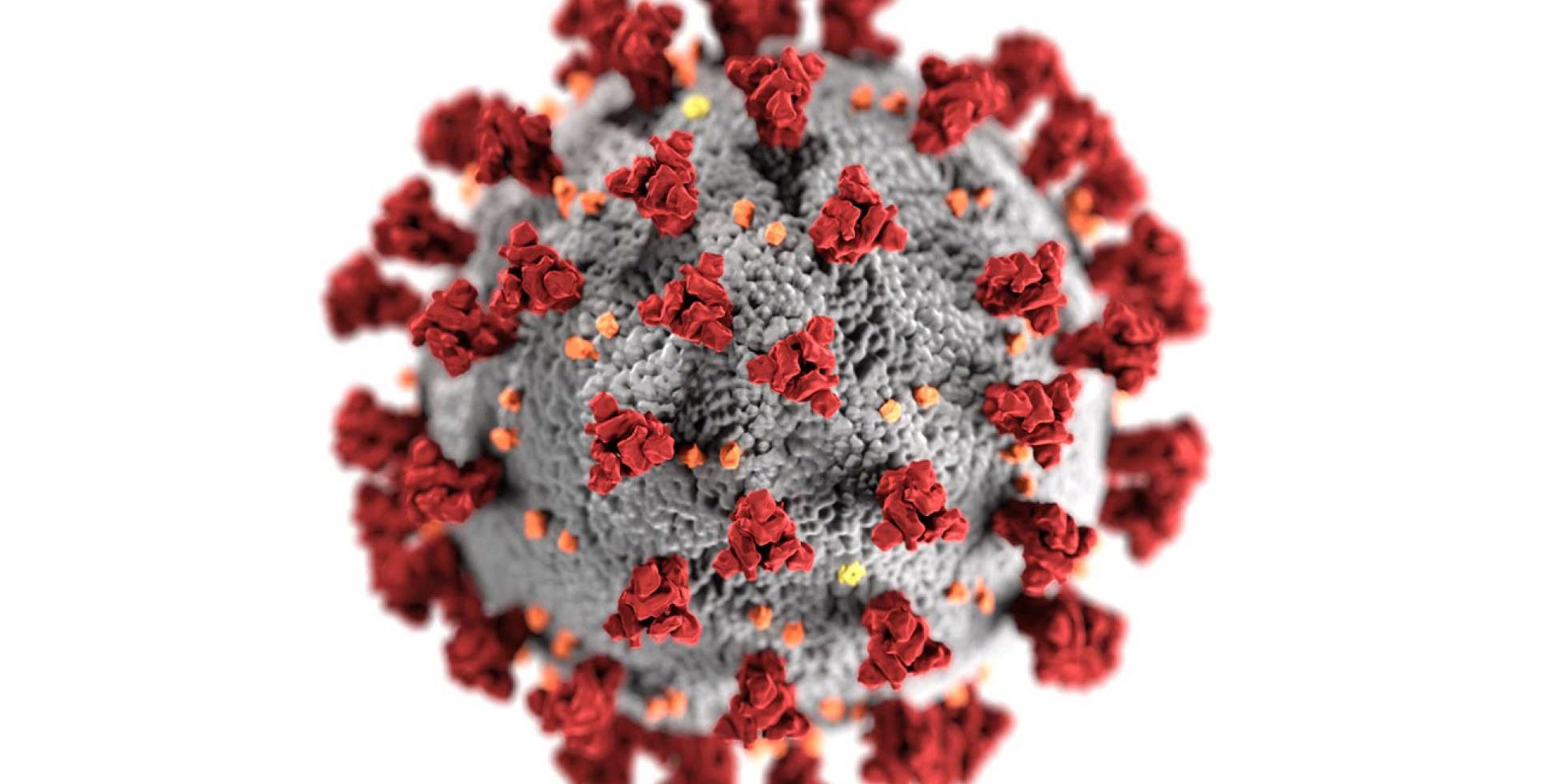 Virus COVID-19