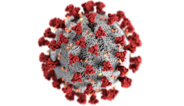 Virus COVID-19